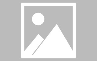 樟树信息系统网页设计（信息系统网页设计主要包括）